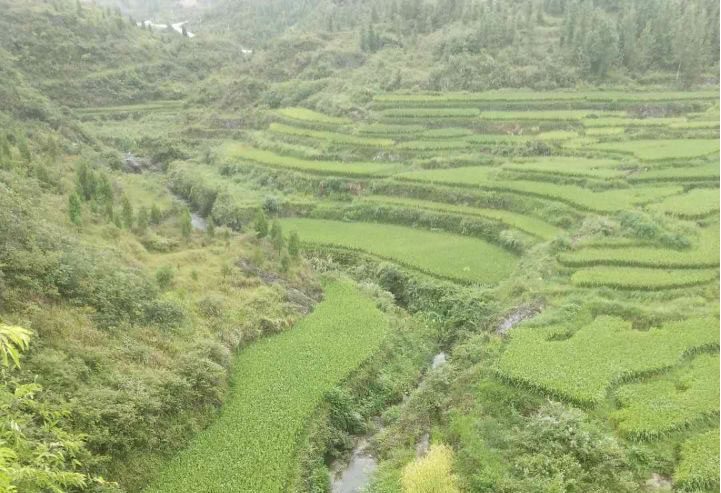 銅仁市萬山區2018年水土流失重點治理龍溪小流域水土保持生態治理工程